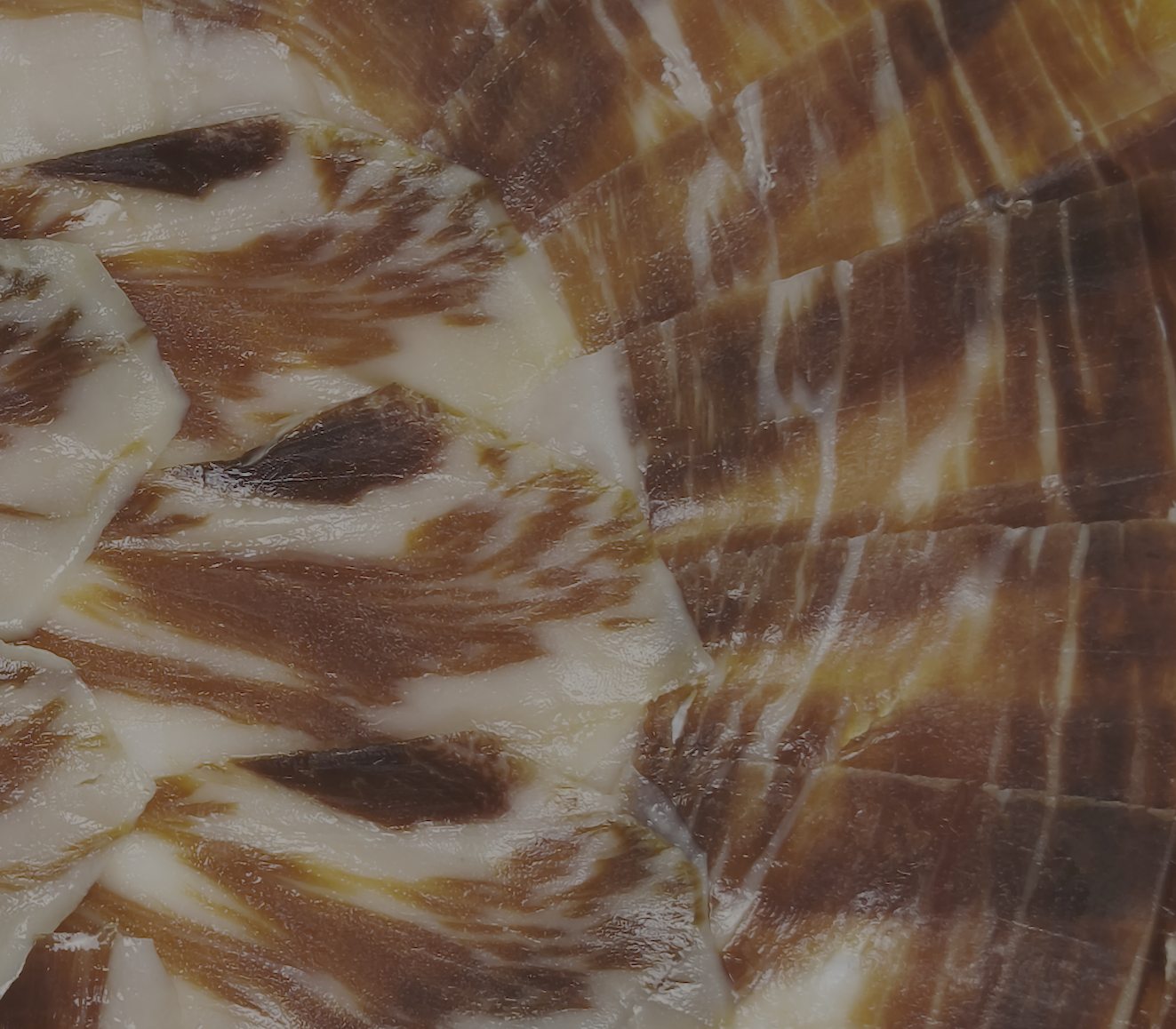 Plato de Jamón de Bellota 75% Ibérico envasado al vacío